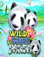 สูตรการเล่น joker123 เกม เพิ่มโอกาสชนะ